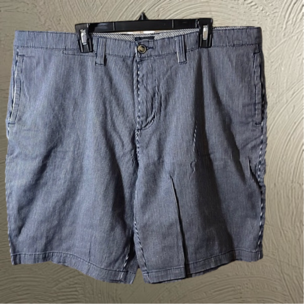 Men's Blue Pinstripe Casual Shorts